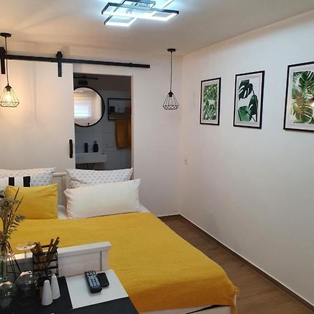 Studio-Apartment Kontaktloser Check-In Meckenbeuren Eksteriør billede