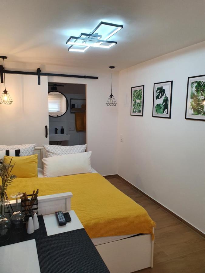 Studio-Apartment Kontaktloser Check-In Meckenbeuren Eksteriør billede
